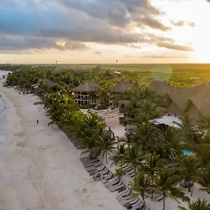 https://cabana-los-lirios-tulum.tulum-hotels.net